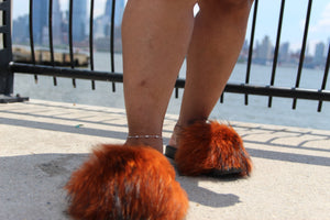 Fur Slides